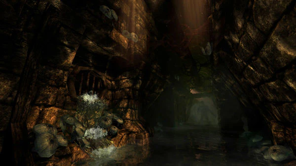 Amnesia Collection Steam (PC) - Steam CD Key - Global - Image 2