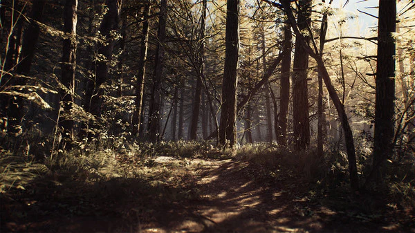 Blair Witch Steam (PC) - Steam CD Key - Global - Image 4
