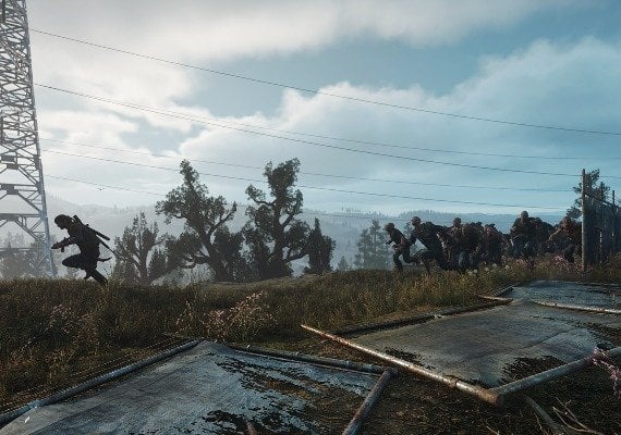Days Gone Steam CD Key Turkey - Image 3