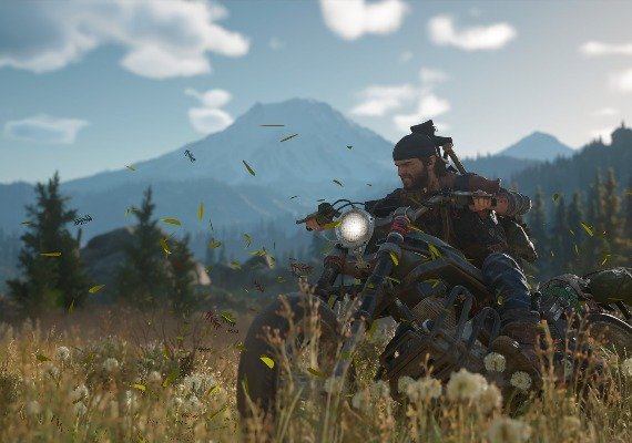 Days Gone Steam CD Key Turkey - Image 4