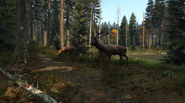 DayZ (PC) - Steam CD Key - Global - Image 2