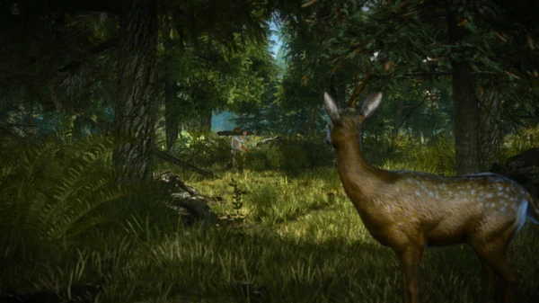The Witcher 2: Assassins of Kings Enhanced Edition Steam (PC) - Steam CD Key - Global - Image 3